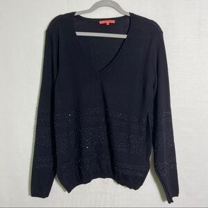 SINCLAIRE 10 100% Wool Beaded VNeck Sweater